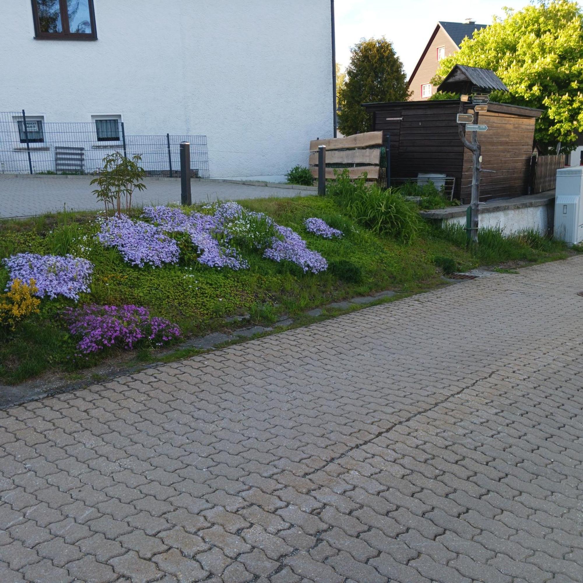 Apartments - Lehmanns Ferienwohnungen Oberwiesenthal Eksteriør bilde